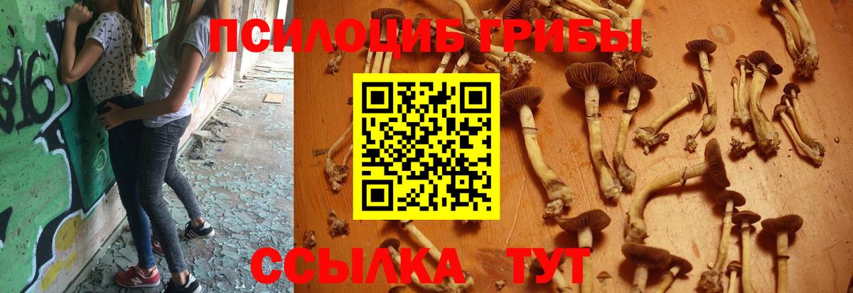 Псилоцибиновые грибы MAGIC MUSHROOMS Ачинск